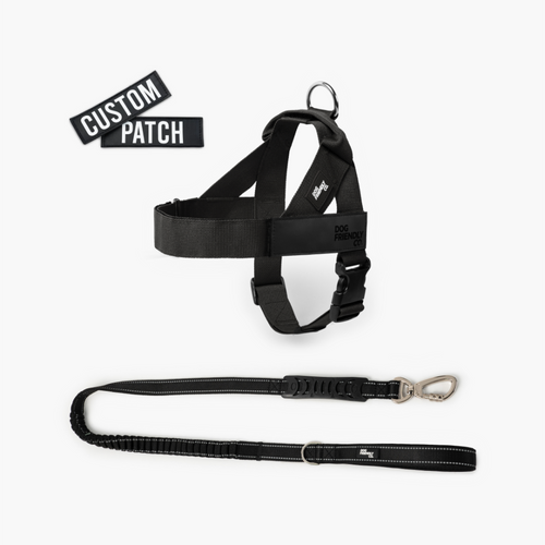Anti-Pull Dog Harness