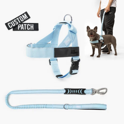 Anti-Pull Dog Harness