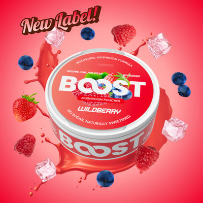 BOOST-NOOTROPIC POUCHES