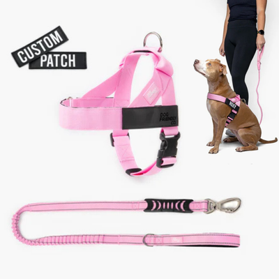 Anti-Pull Dog Harness