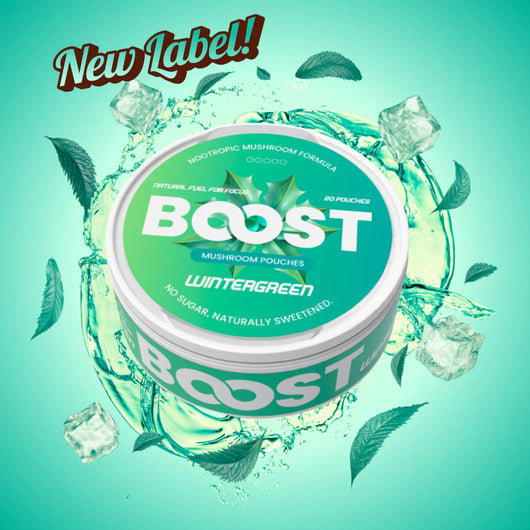 BOOST-NOOTROPIC POUCHES