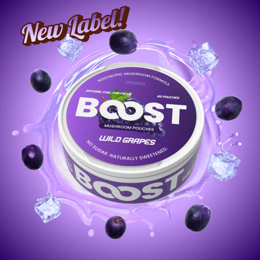 BOOST-NOOTROPIC POUCHES