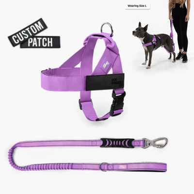 Anti-Pull Dog Harness