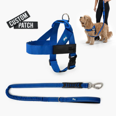 Anti-Pull Dog Harness