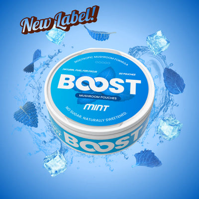 BOOST-NOOTROPIC POUCHES