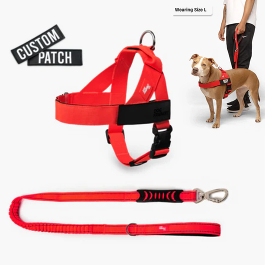 Anti-Pull Dog Harness
