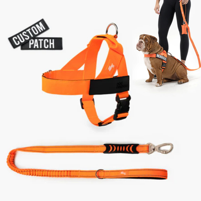 Anti-Pull Dog Harness