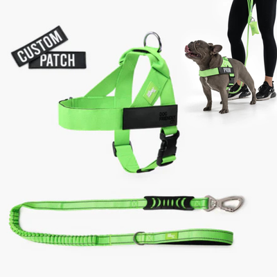 Anti-Pull Dog Harness