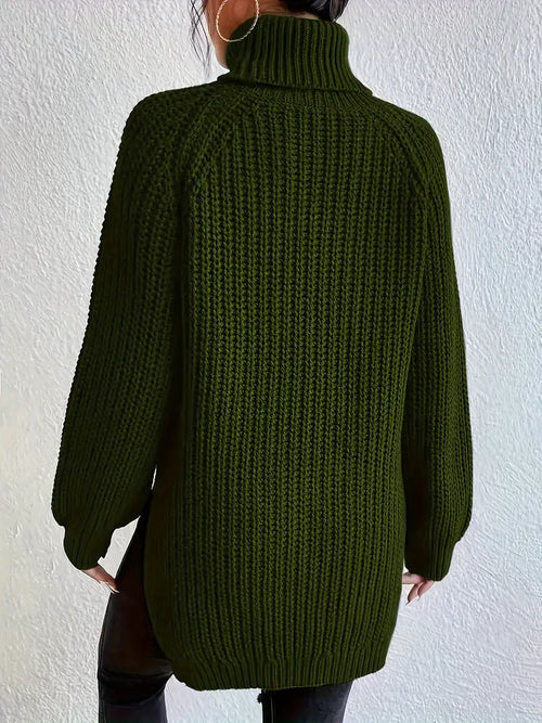 Solenn Cotton Turtleneck Sweater