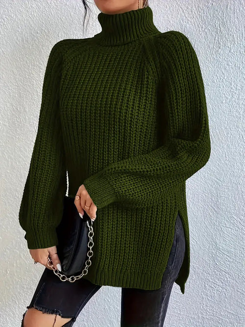 Solenn Cotton Turtleneck Sweater