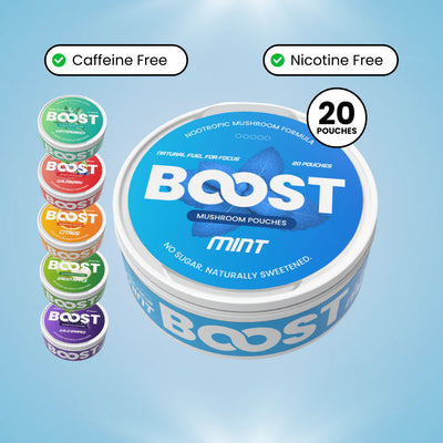 BOOST-NOOTROPIC POUCHES