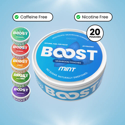 BOOST-NOOTROPIC POUCHES