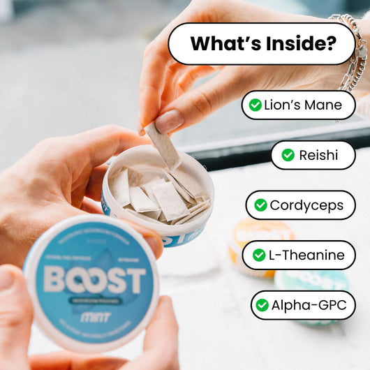 BOOST-NOOTROPIC POUCHES