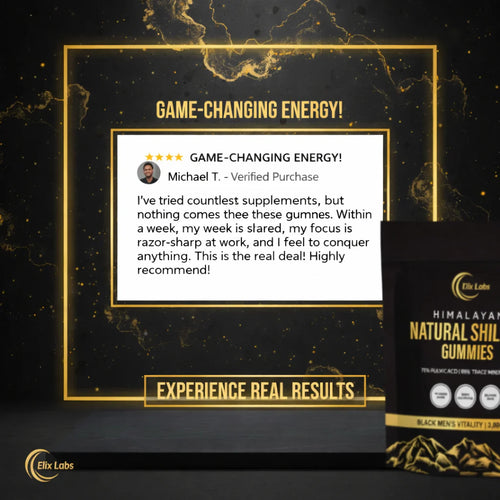 Himalayan Shilajit Gummies