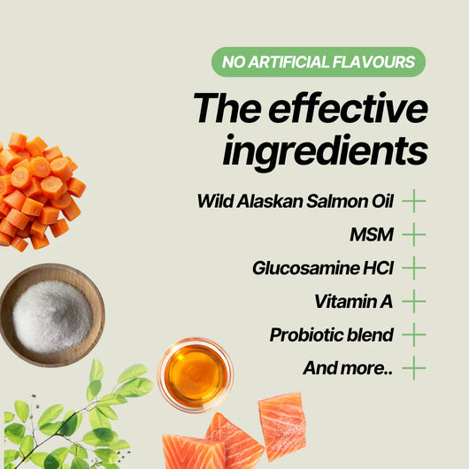 VitalPaws - Daily Multivitamin Chews