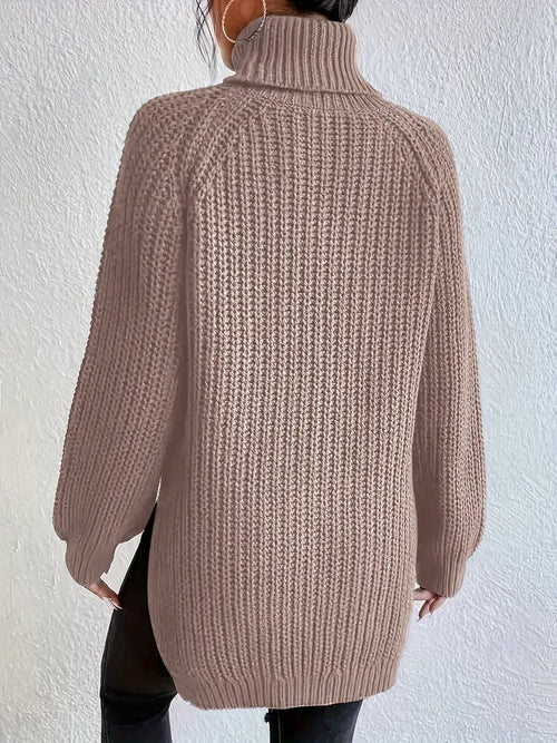 Solenn Cotton Turtleneck Sweater