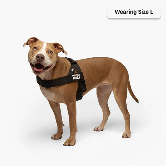 Anti-Pull Dog Harness