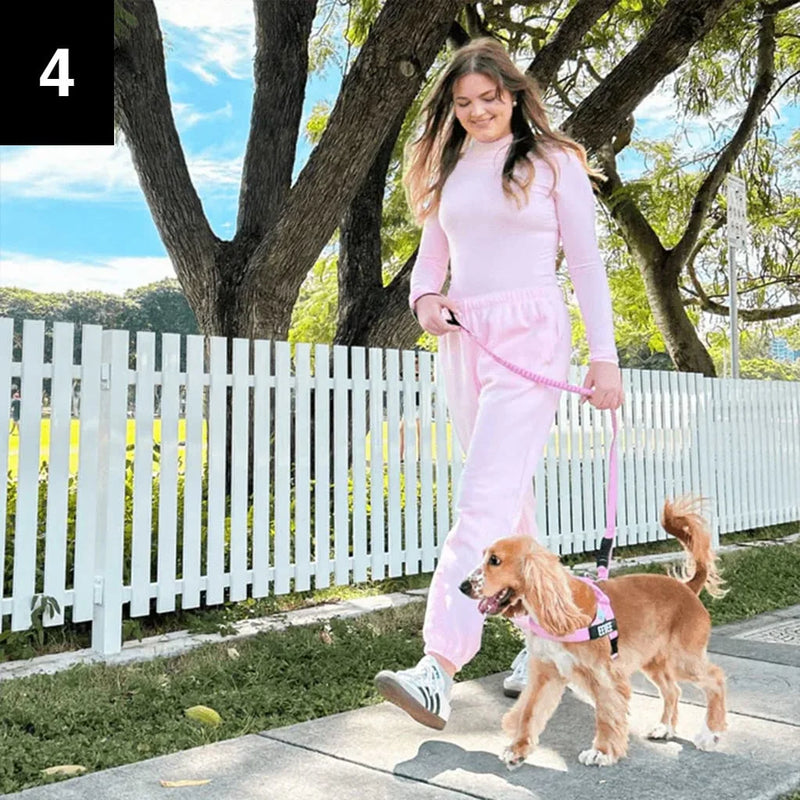 Stroll, don’t struggle