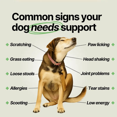 VitalPaws - Daily Multivitamin Chews