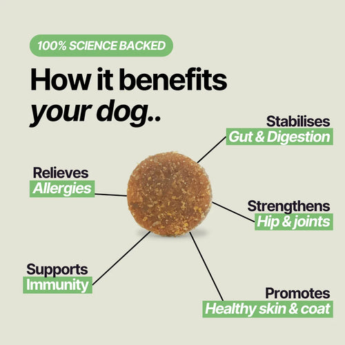 VitalPaws - Daily Multivitamin Chews