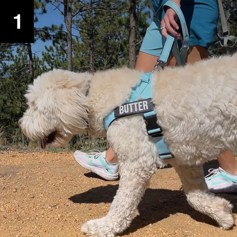 No more wrestling matches at the door