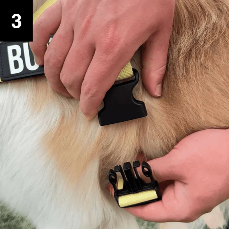 Total control without feeling like a dog trainer